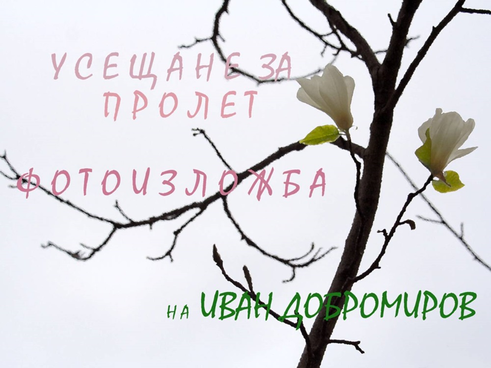 Усещане за пролет<br>изложба на Иван Добромиров